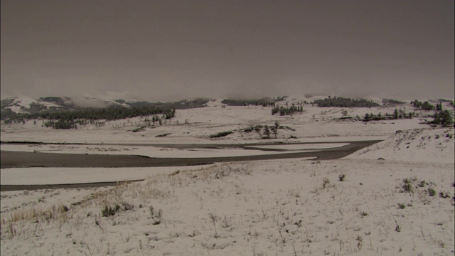 一条河流经黄石国家公园的白雪覆盖的田野。视频素材