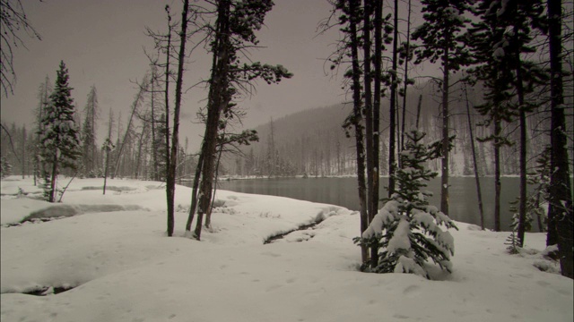 一位地质学家站在黄石国家公园积雪覆盖的河岸上。视频素材