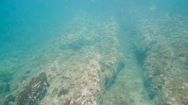 海底视频素材