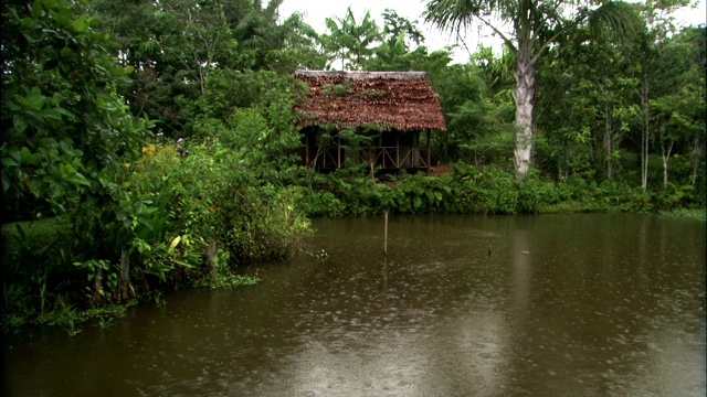 雨落在亚马逊雨林的一条河和小屋上。视频素材