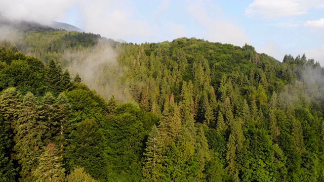 飞过群山。视频素材