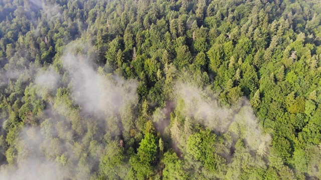 飞过群山。视频素材