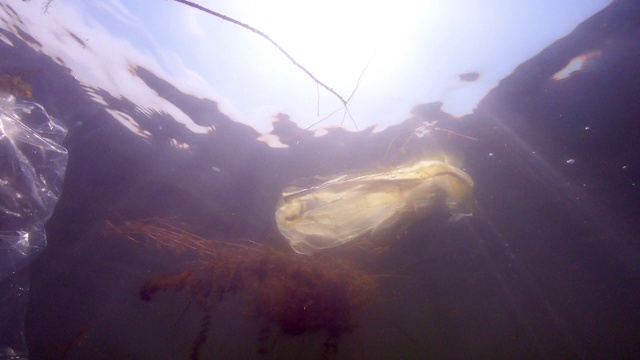 塑料废物和集约化农业造成的水污染视频素材