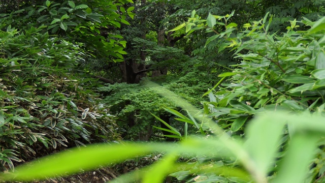 亚洲妇女在户外运动中行走和微笑视频素材