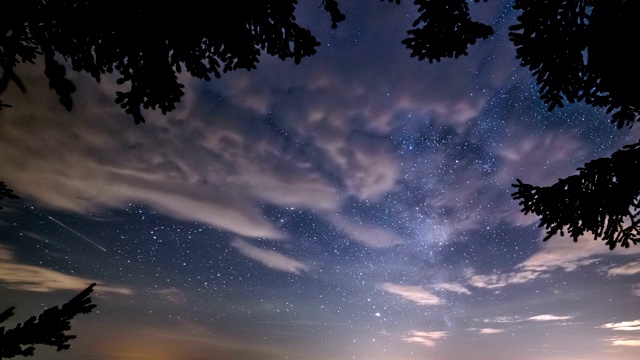 神奇的夜空与银河在树枝剪影视频素材