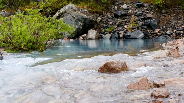 山泉溪水生态视频素材