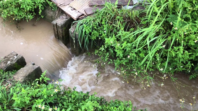 水通过稻田为雨季种植水稻做准备。泰国北部，在傍晚日落前把水送到田地里。video 4K视频片段。视频素材