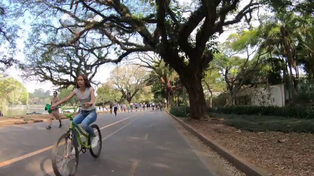 巴西圣保罗的Ibirapuera公园视频素材