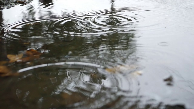 慢镜头，水坑里的雨滴视频素材