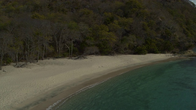 摇摄格林纳达卡里亚库，绿树成荫的海洋海滩/安斯拉罗希湾视频素材