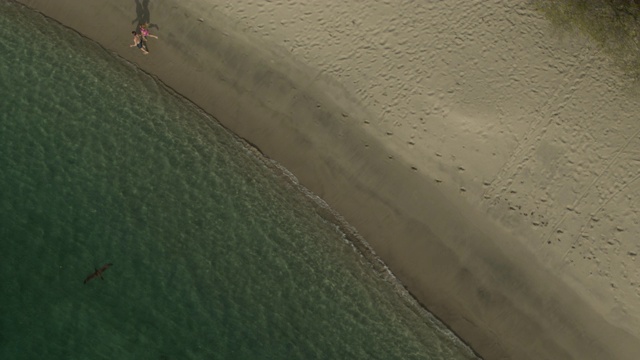 一对夫妇在海滩上跑步，然后在海浪中溅水的鸟瞰图/ Anse La Roche湾，卡里亚库，格林纳达视频素材