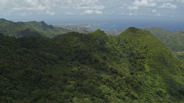 空中摇摄风景优美的热带山林/格林纳达大爱唐国家公园视频素材