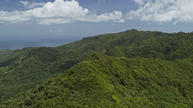 空中摇摄风景优美的热带山林/格林纳达大爱唐国家公园视频素材