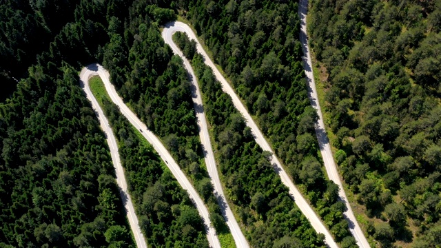 穿越森林的公路旅行视频素材