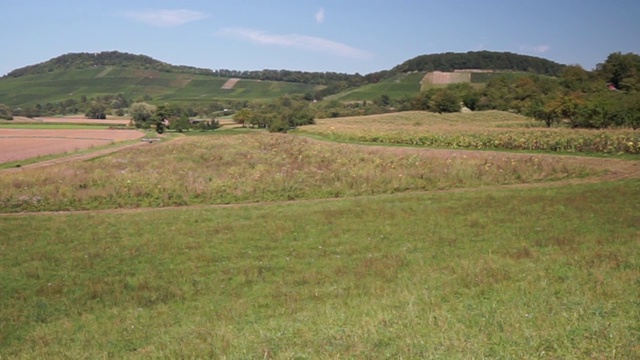 风景如画的田野和草地，后面是葡萄园视频素材