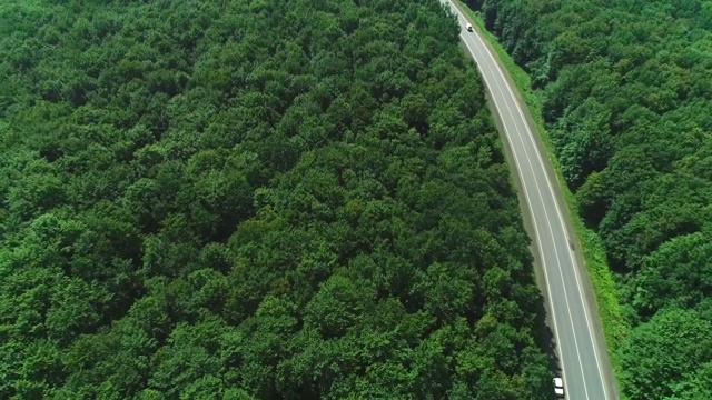 鸟瞰图的白色汽车行驶在乡村道路在森林。4 k。视频素材