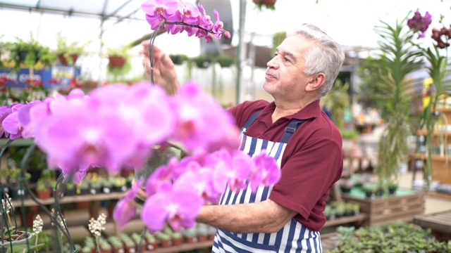 高级花师检查美丽的花视频素材