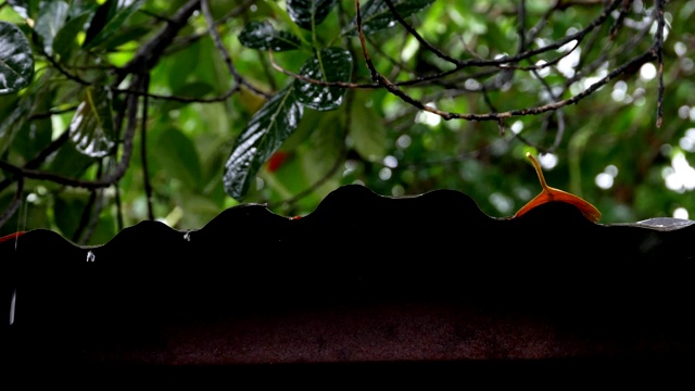 下雨了，雨水从屋顶流下来视频素材