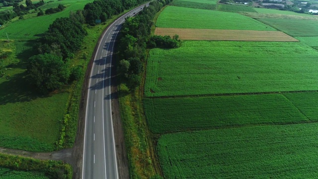 汽车在绿色森林植物之间的道路上行驶的鸟瞰图。4 k。视频素材