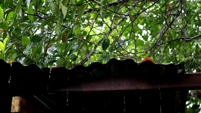 下雨了，雨水从屋顶流下来视频素材