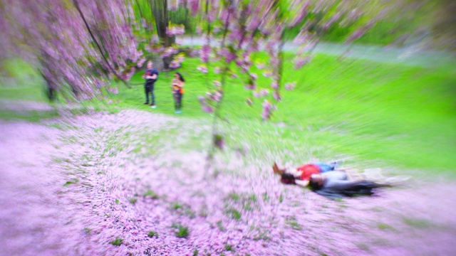 5月2日，在美国纽约中央公园的樱花树下，一对年轻夫妇躺在落下的樱花花瓣上。视频素材