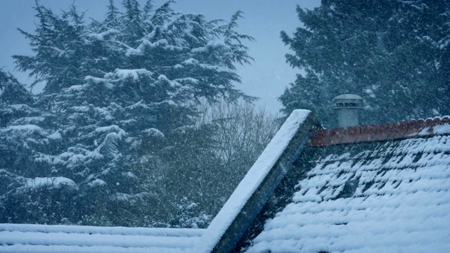 暴风雪中的树木和屋顶视频素材