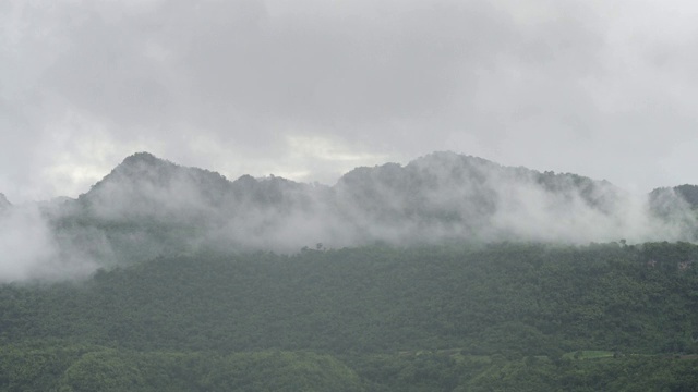 国家公园的山与雾在雨季的风景视频素材