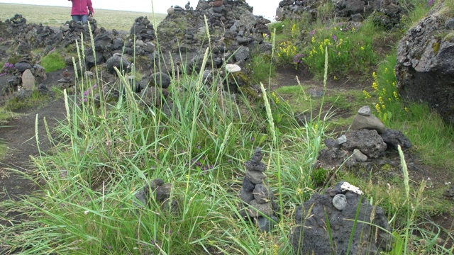 冰岛南部地质公园的全景Laufskálavarða视频素材