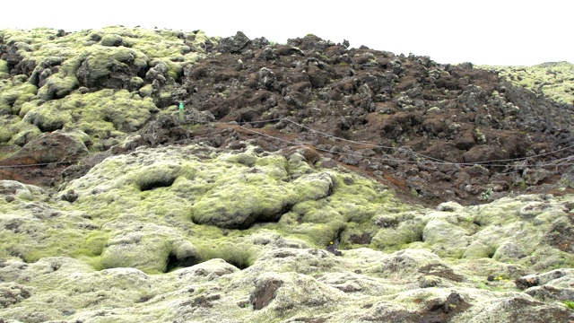 冰岛的Eldhraun熔岩地、流和山脊上覆盖着绿色苔藓视频素材