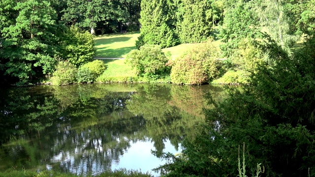 太阳能景观。夏日的湖面上。公园里的湖。视频素材