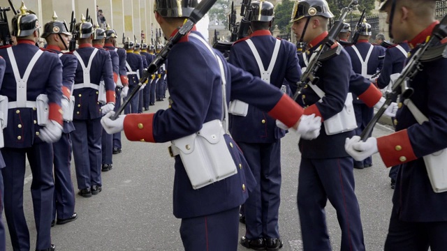 总统府警卫换岗视频素材