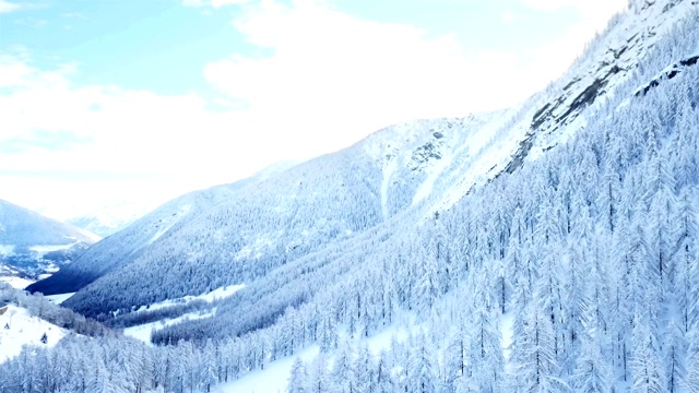 山上的树被雪覆盖着视频素材