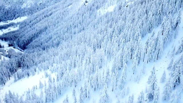 整个景观都被雪覆盖了视频素材