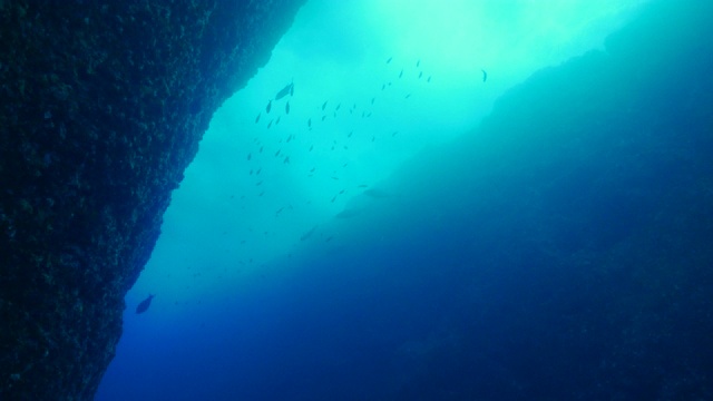 日本小笠原岛海底峡谷视频素材