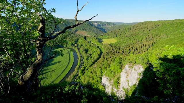 多瑙河景，o荒原，Irndorf, Beuron, Swabian Alb, Swabian jub, Baden-Wurttemberg，德国视频素材