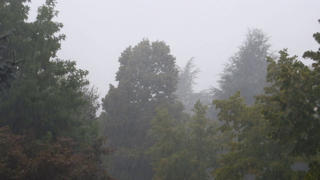 狂风暴雨视频素材