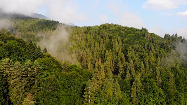 飞过群山。视频素材