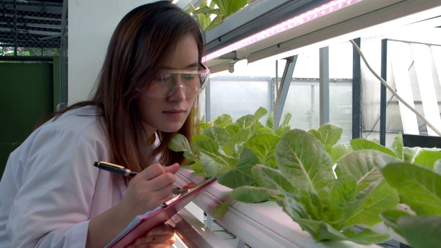 亚洲妇女植物学家检查生菜或绿色植物的状况，并检查水的ph值。4 k慢动作。视频素材