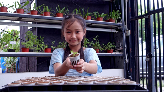 亚洲女孩种植绿色生菜到锅，教育理念。缓慢的运动。视频素材