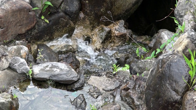 小溪在长满苔藓的岩石上缓缓流淌。山河森林视频素材