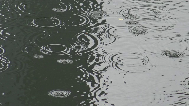 湖上落下的4k雨水视频素材