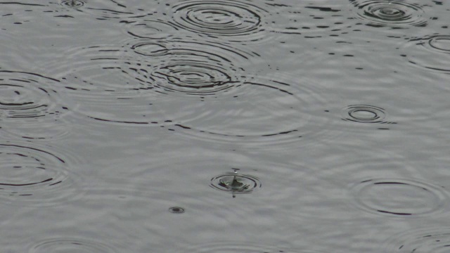 湖上落下的4k雨水视频素材