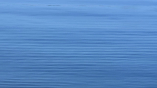 海水纹理背景。风平浪静的海面上有小波浪和波纹视频素材