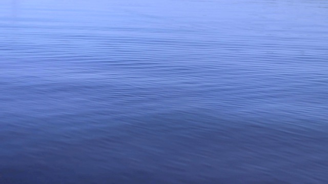 海水纹理背景。风平浪静的海面上有小波浪和波纹视频素材