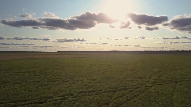 空中运动覆盖着绿色的草地视频素材