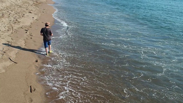 海滩鸟瞰图视频素材