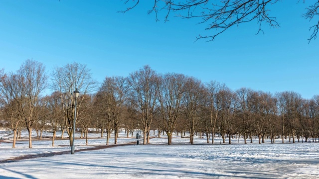 挪威奥斯陆延时4K，维格兰公园冬季雪景延时视频素材