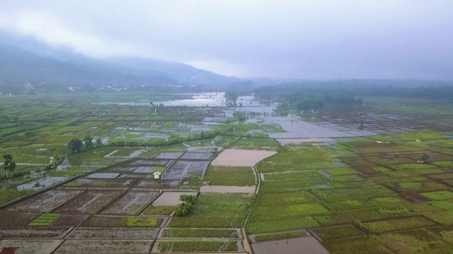 亚洲稻田鸟瞰图视频素材