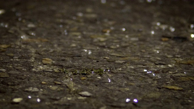 沥青路上下着大雨。特写背景，无缝循环视频素材