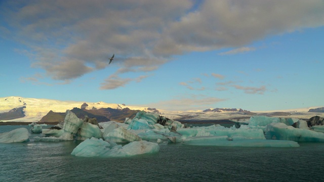 冰山漂浮在Jokulsarlon冰川湖视频素材